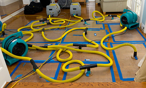 Professional Water Damage Repair technician working in Dellrose, TN